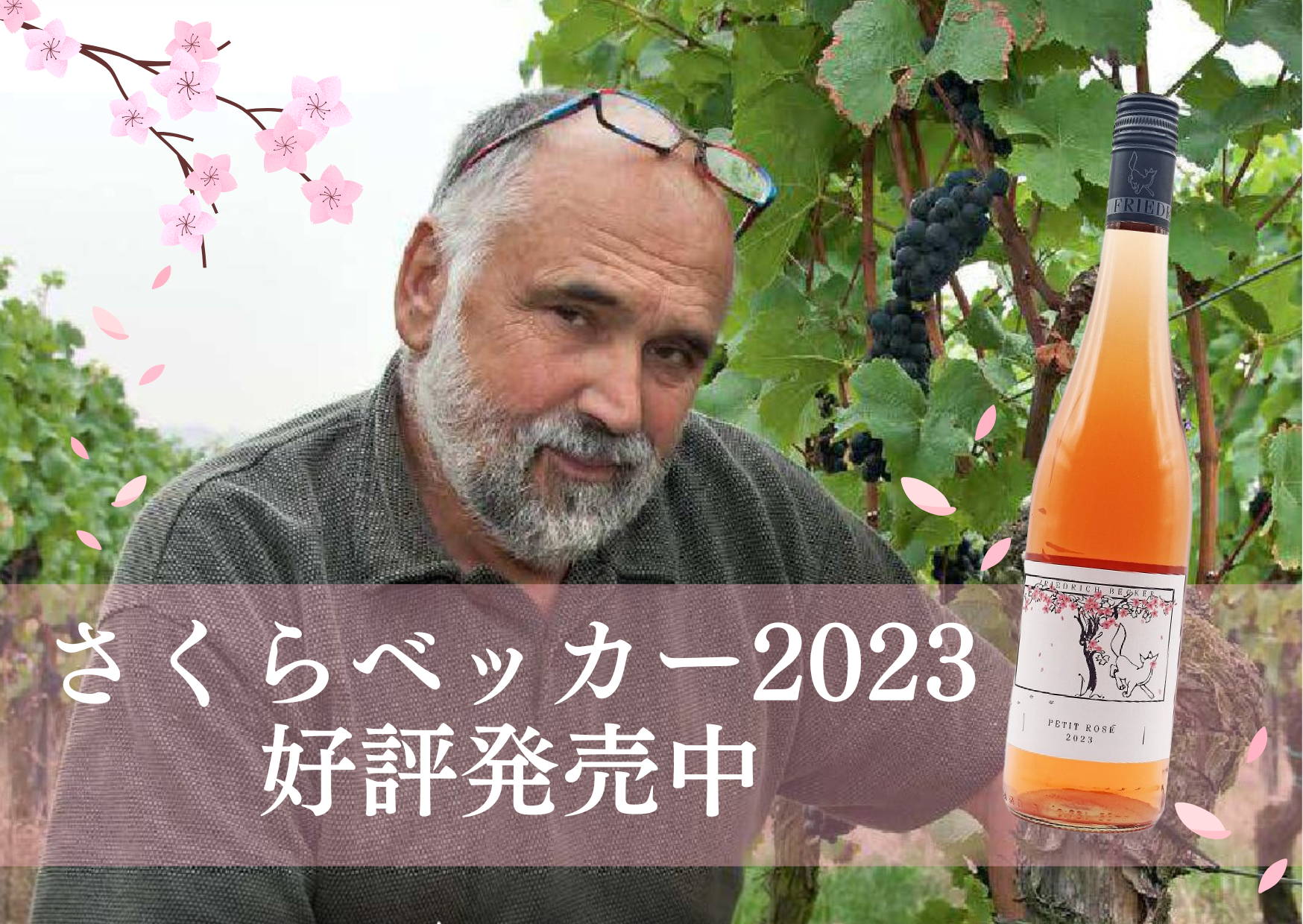 【開花まであと少し】さくらベッカー 2023年ヴィンテージ 好評発売中！
